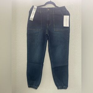 Tinseltown Dark Blue Jeggings 5